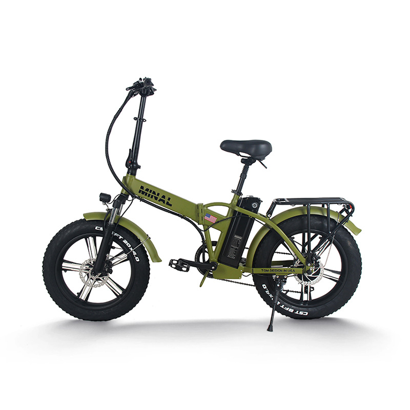 48V 350W 10.5Ah FTC200 Electri - Cycling Gear And Equipment 评论和价格