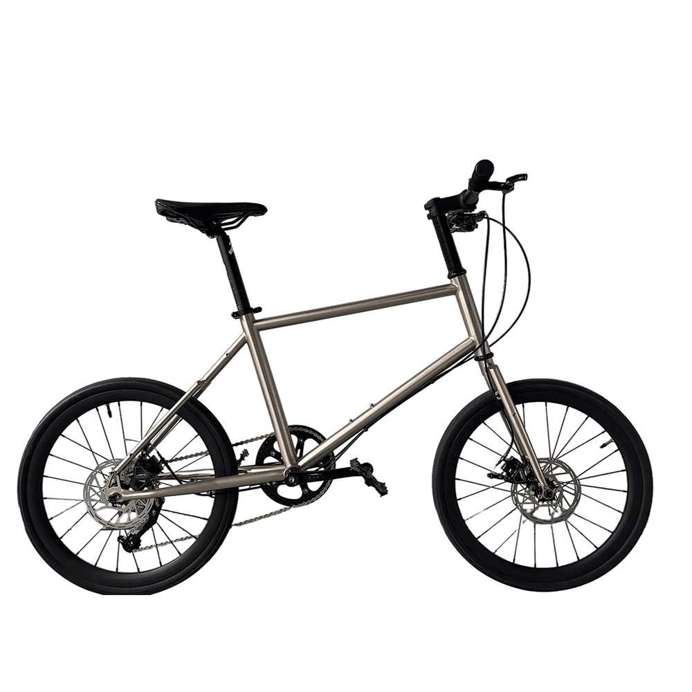 20 Inch Boy Bikes Child Gear B - Cycling Gear Inches 评论和价格