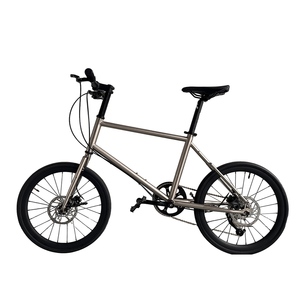 20 Inch Boy Bikes Child Gear B - Cycling Gear Inches 评论和价格